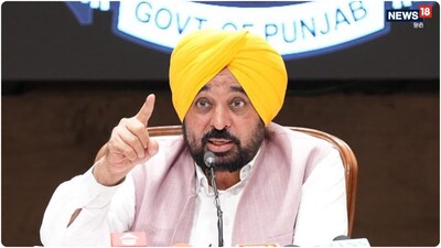 Punjab's 'War Against Drugs': Bhagwant Mann Govt's 5-Pronged Strategy