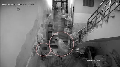 फरीदाबाद के नगला पार्ट-2 में मोबाइल फोन की स्क्रीन पर खरोंचें आने से नाराज मां ने अपने दो छोटे को पीट दिया.