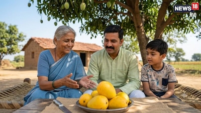 How to Divide 5 Mangoes Among 3 People? The Smart GK Answer Revealed