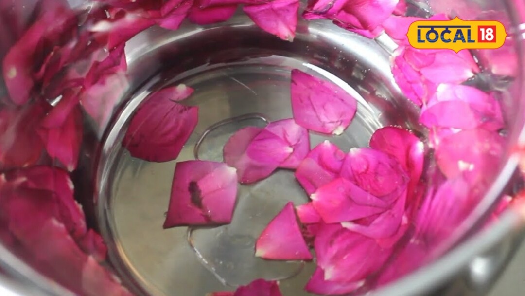 मार्केट का गुलाब जल छोड़िए, घर पर गुलाब की पंखुड़ियों से ऐसे करें तैयार, जानें आसान तरीका
