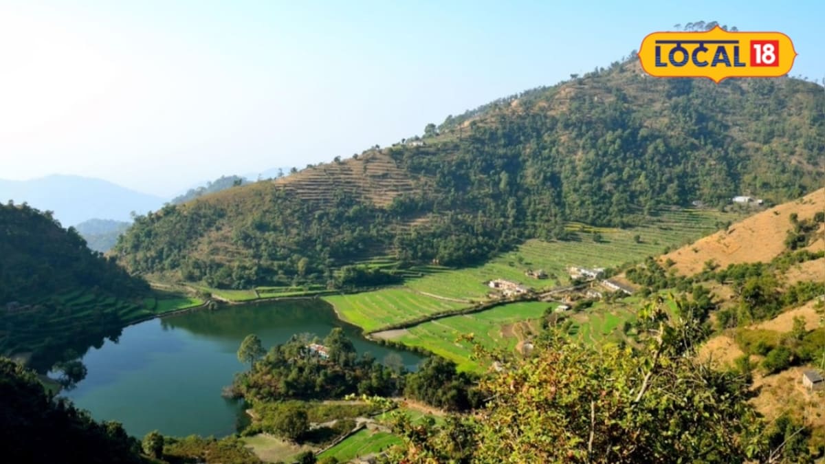 चारों तरफ जंगल-पहाड़ और सुकून, नैनीताल छोड़िए इस छुपी जगह का करें दीदार, नजारा कर देगा खुश