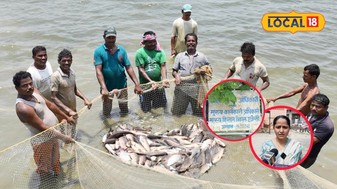 Fish Farming : नौकरी से ज्यादा कमाना चाहते हैं? तालाब बनाकर शुरू करें दें ये काम, सरकार दे रही 5-5 लाख