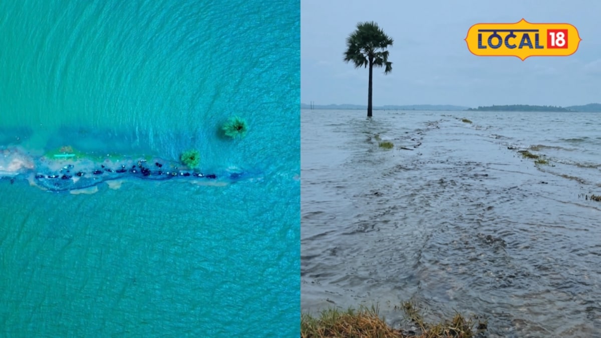 तेलंगाना में दिखा धनुषकोडी जैसा नज़ारा, वारंगल के पास मिला हिडन टूरिस्ट स्पॉट