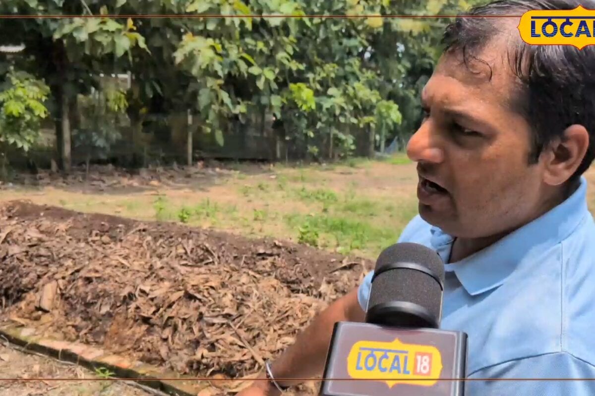 Agriculture Tips: केले के तने को कचरा समझकर न फेंकें 45 दिन में ऐसे बनाएं ‘सुपर खाद’ जानें पूरी प्रक्रिया