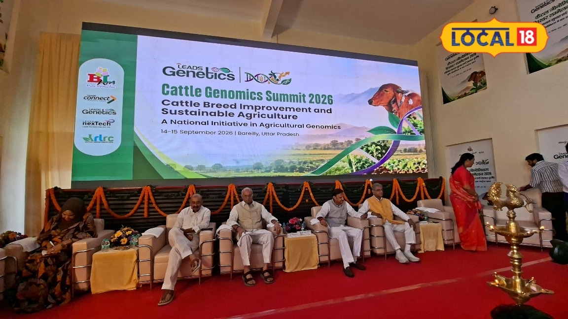 बरेली से श्वेत क्रांति की नई शुरुआत 1500 करोड़ से तैयार होंगी गाय की बेहतर नस्ल देंगी 60 लीटर तक दूध