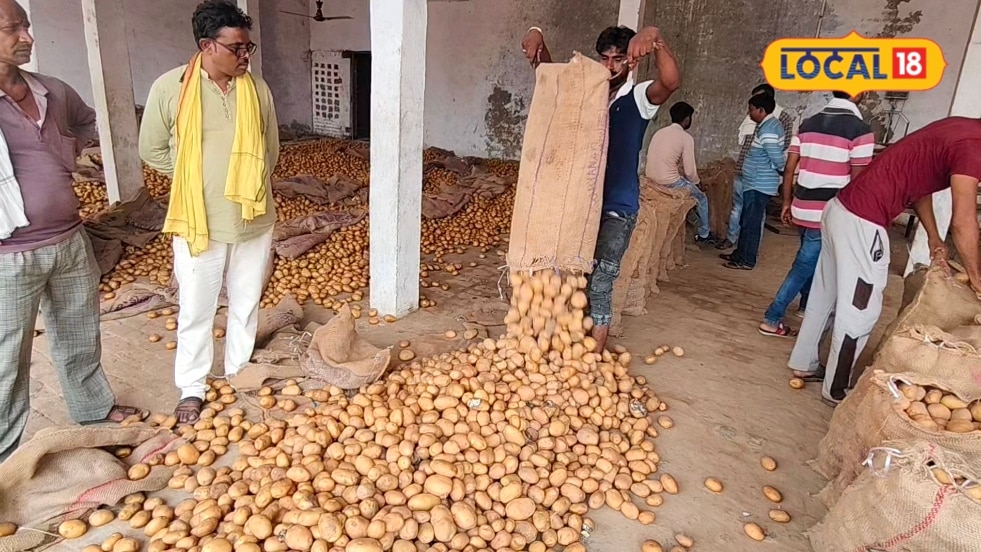 कोल्ड स्टोरेज में रखे आलू को लेकर किसान परेशान 400 रुपए प्रति पैकेट की लागत से उगाया आलू सौ रुपए में बिक रहा