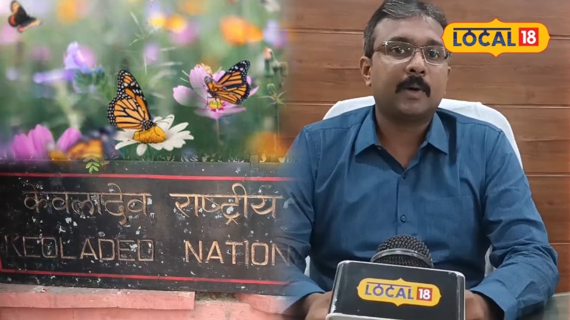 Butterfly Park Proposal Gains Momentum as Survey Identifies 27 Species in Bandh Baretha