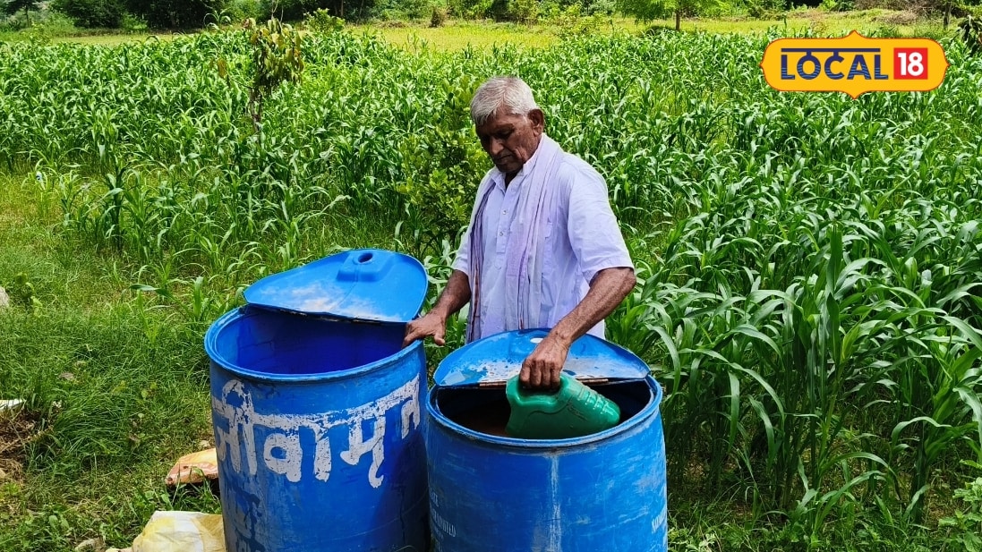 Business Idea: चित्रकूट के किसान नथूराम ने रासायनिक खेती छोड़ जैविक खेती अपनाई नींबू के साथ कई फसलें उगाईं सालाना 4 लाख रुपये कमाए