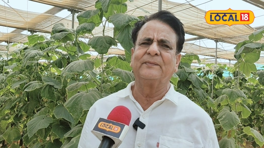 सीकर के किसान सोनाराम ने आधुनिक तकनीक से खेती को बनाया मुनाफे का व्यवसाय, सालाना कमाई 25 लाख रुपये पार