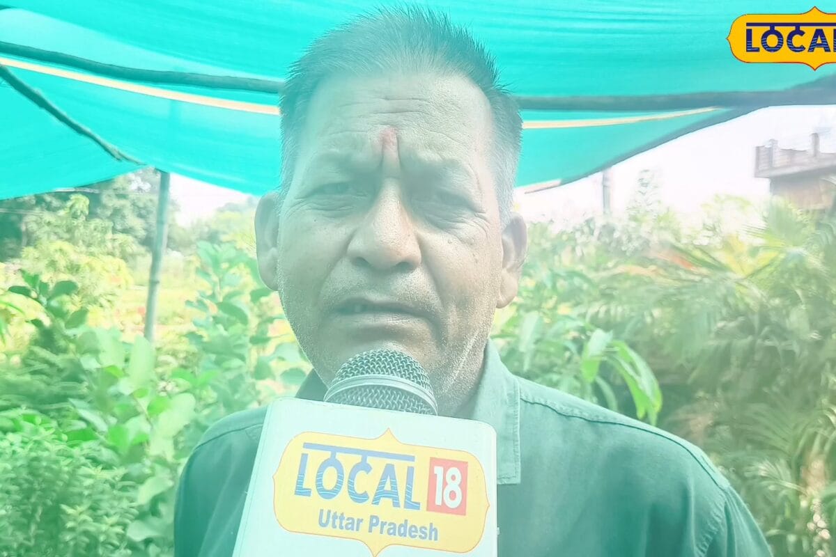 Business Idea: लखीमपुर में ₹50 हजार से लेकर 5 लाख में शुरू करें नर्सरी का कारोबार रोजाना होगी बंपर कमाई