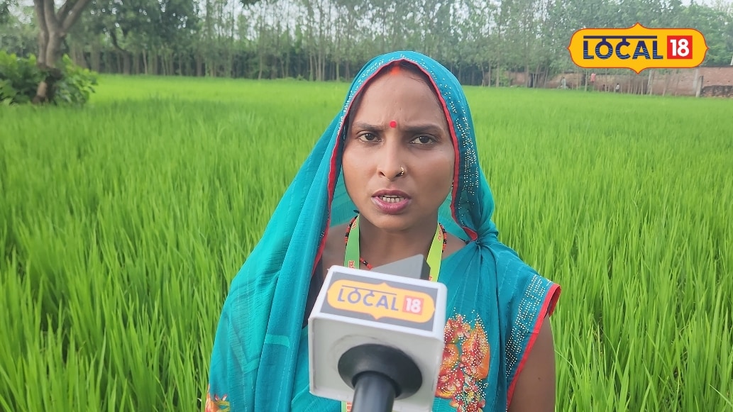 बहराइच की लालपरी का कमाल बिना रासायनिक खाद कीटनाशक के लहलहाया धान किसानों को दे रही ट्रेनिंग
