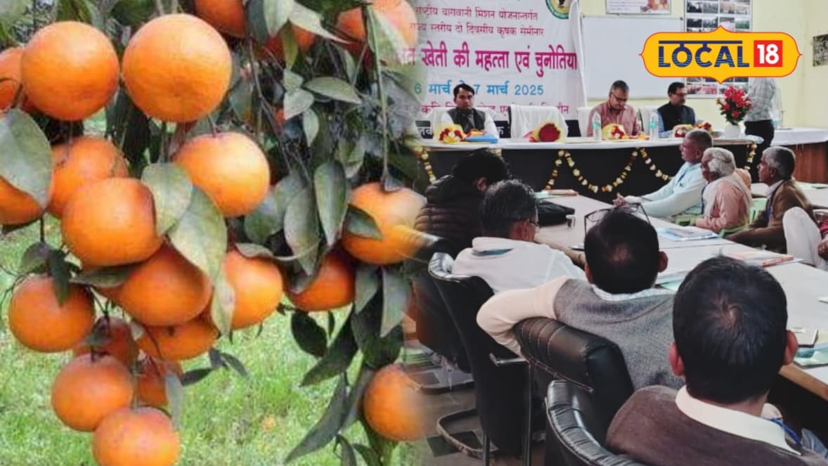 Agriculture Tips: ₹6-7 हजार की लागत में 2 बीघा जमीन पर शुरू करें ये खेती सालाना ₹2 लाख तक कमाई का दावा