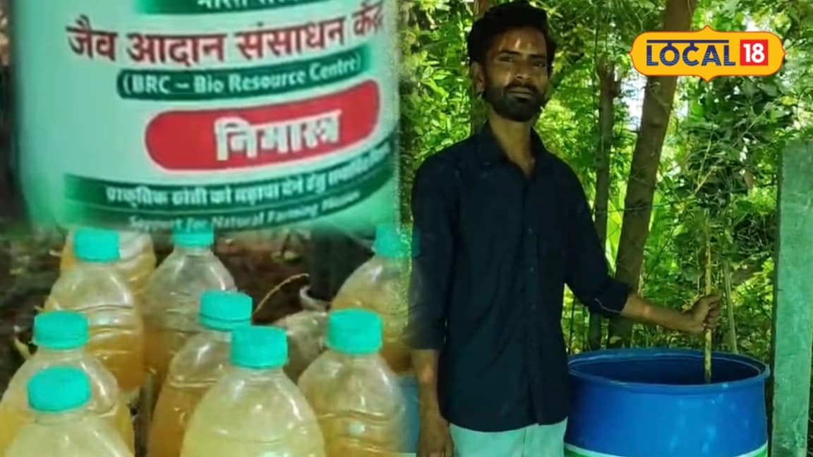 Agriculture : Leave expensive pesticides, make neem at home with neem leaves, will help save the crop from these dangerous pests