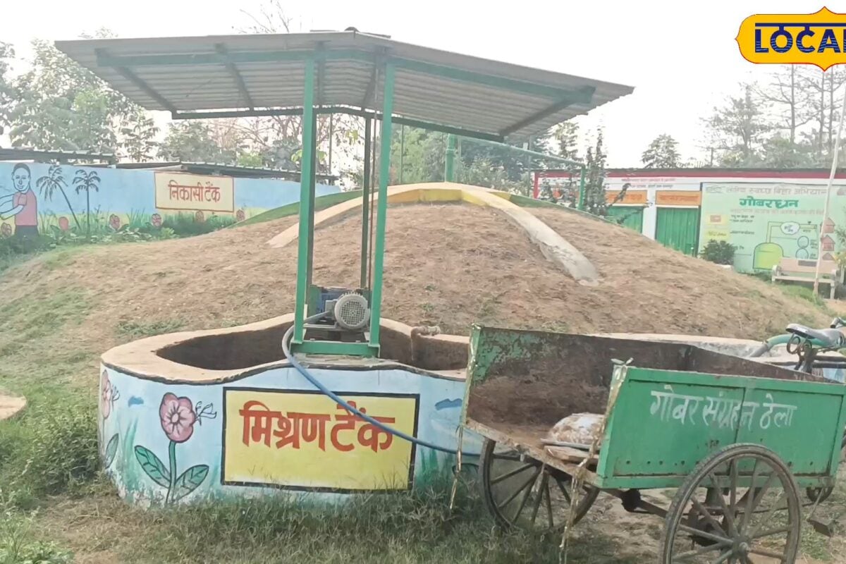 घर में गाय-भैंस है तो मिलेगा बड़ा फायदा! गोबर गैस प्लांट पर 21 हजार तक सब्सिडी 30 सितंबर से पहले करें ये काम