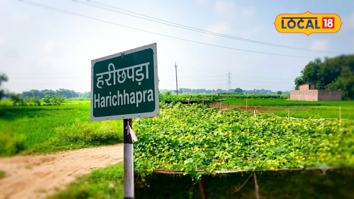 सीतामढ़ी का गांव सब्जी खेती में बना मिसाल
