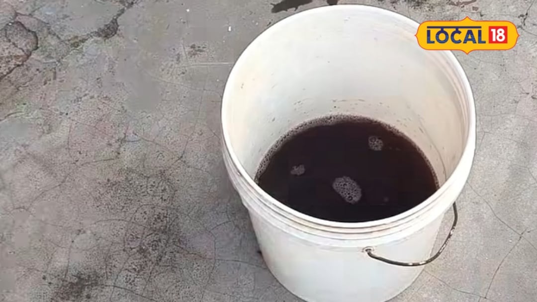 घर में रखे खराब प्याज का ऐसे करें इस्तेमाल बनेगी खाद खेत और पौधों के लिए काम आएगा ये आसान देसी तरीका