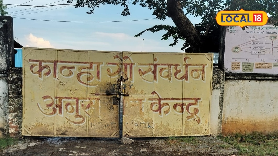 Business Idea: 90 देसी गाय और दो गिर गाय से झांसी की तान्या ने खड़ा दिया कर दिया कारोबार बनाती हैं प्रीमीयम घी व पूजा में प्रयोग होने वाले उत्पाद