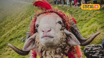 Why Does the Four-Horned Khadu Lead? Nanda Devi's Farewell Moves Devotees to Tears!