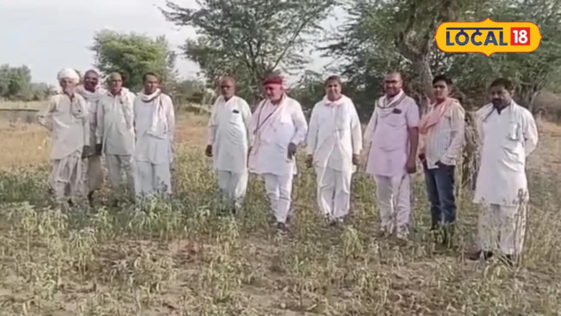 Monsoon Failure Leaves Jodhpur Kharif Crops Withered, Farmers Face Severe Famine Crisis