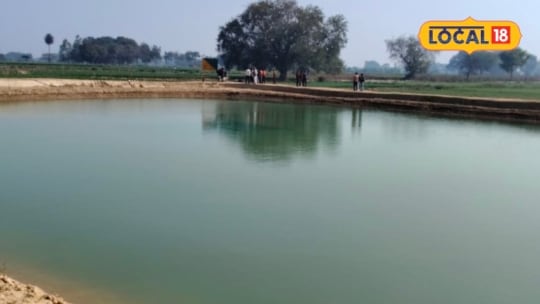 मुरादाबाद के किसान मीठे पानी में कृत्रिम तरीके से कर सकते हैं मोती पालन मोती संवर्धन के लिए सरकार दे रही सब्सिडी