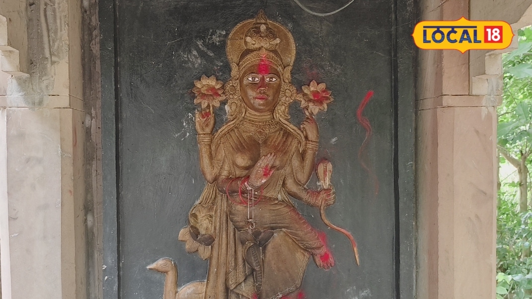 घर में बार-बार निकल रहा है सांप तो सुल्तानपुर के मनसा देवी मंदिर में करें दर्शन मिलता है नाग देवता का आशीर्वाद जानें मान्यता