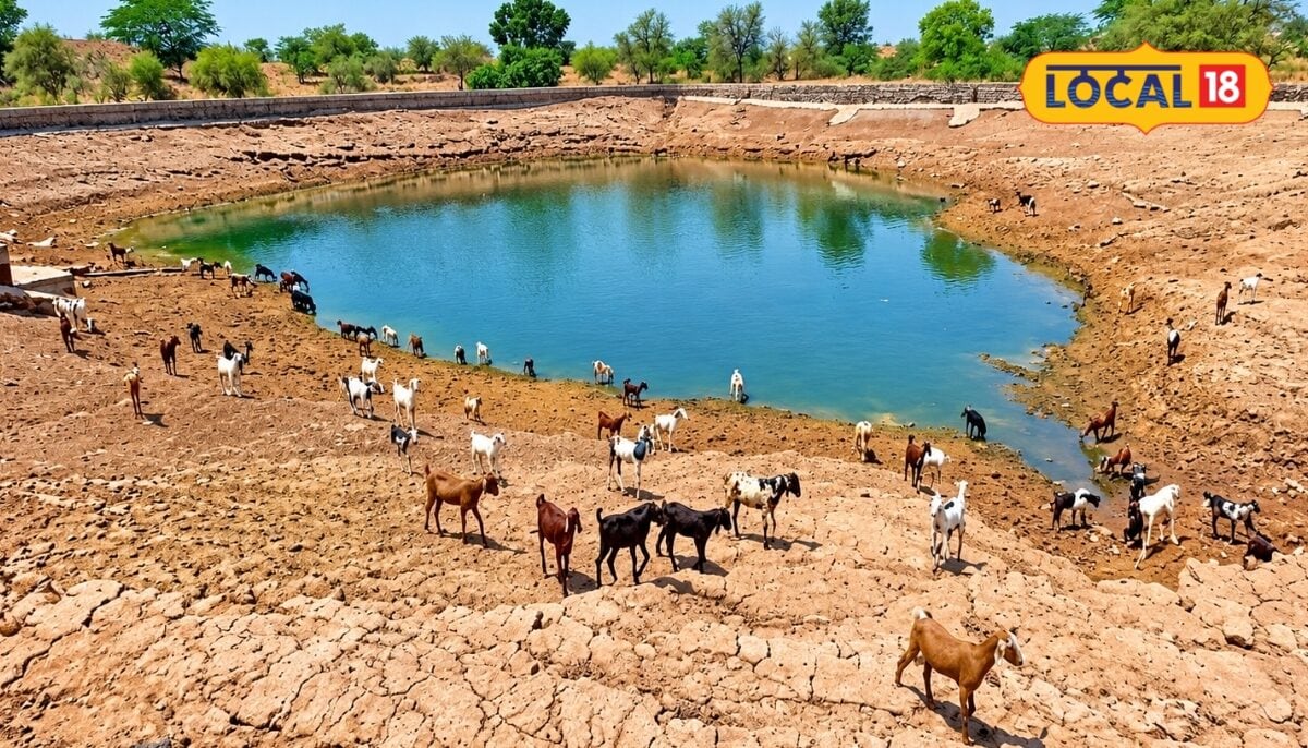 Nagaur News: 24 साल बाद फिर वही हालात सितंबर में ही सूखने लगे नागौर के तालाब बारिश की कमी ने बढ़ाई चिंता