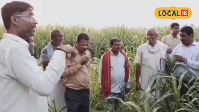 Baby Corn Kheti: एक ही खेत से डबल कमाई का जुगाड़ कतरनी के साथ ये फसल बोकर पवन उपाध्याय ने बदली किस्मत