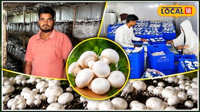 From Jobless to Mushroom Mogul: Rohtas's Premchand Earns ₹25 Lakh Annually