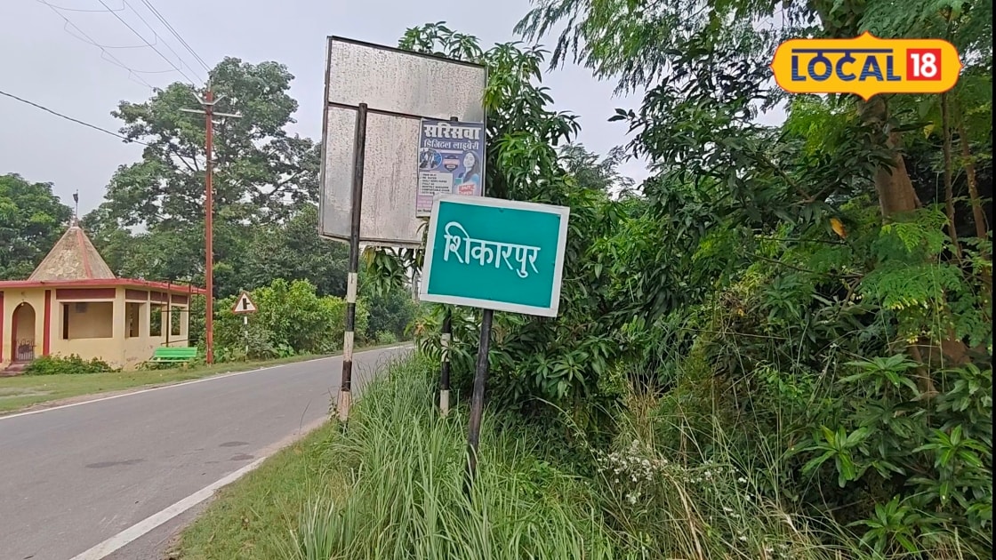IAS-IPS, डॉक्टर, इंजीनियर और वकीलों का गढ़ है बिहार का ये गांव, 90% परिवार में है सरकारी नौकरी