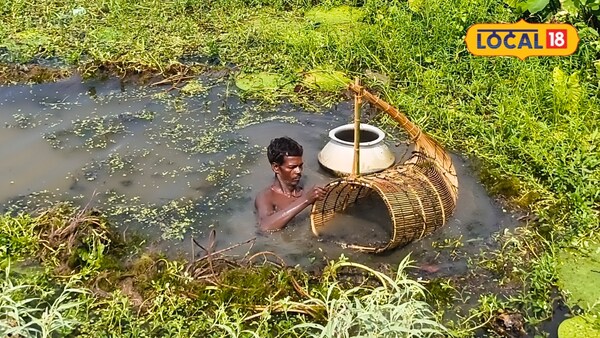 मखाना की खेती से 30 हजार में 2.5 लाख का मुनाफा.