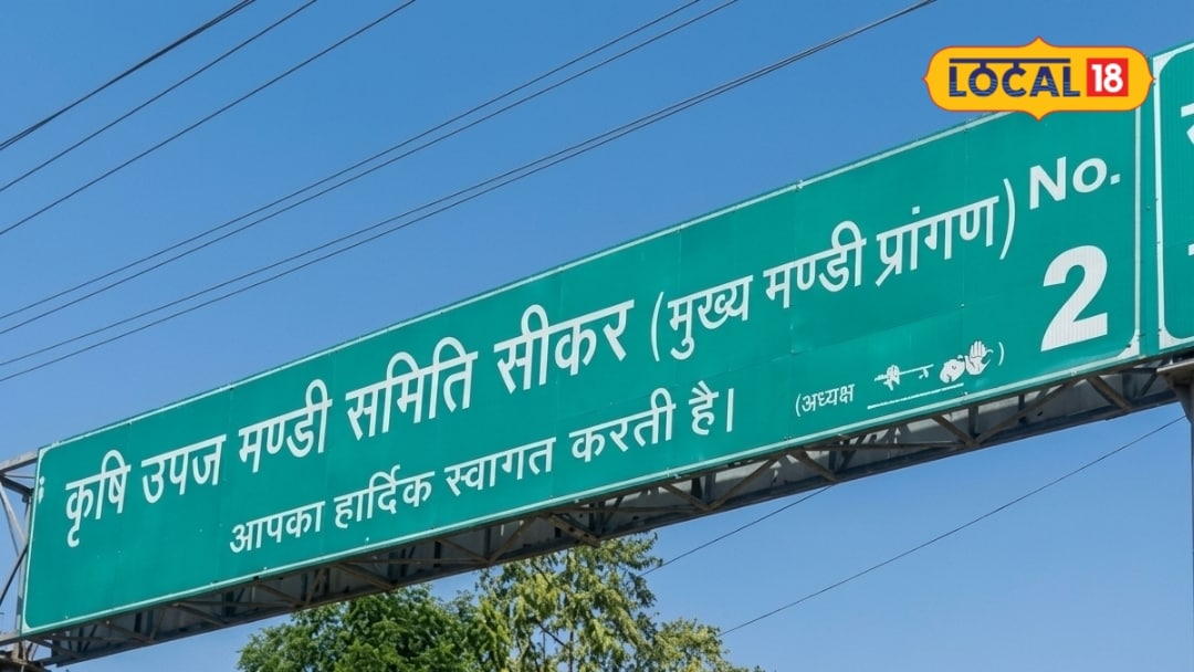 सीकर मंडी में किसानों के लिए सस्ते बीज उपलब्ध निजी कंपनियों के मुकाबले 50% तक कम दाम जानें पूरी जानकारी