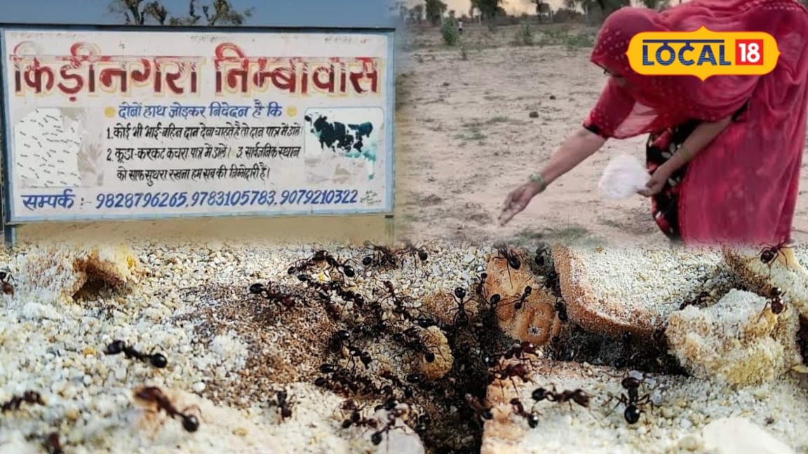 Pitru Paksha 2026: श्राद्ध पक्ष में चींटियों को क्यों खिलाया जाता है दाना जानें कीड़ी-नगरा से परंपरा