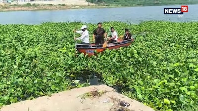 Unidentified Body Found in Chambal River, Tattoos on Hand Aid Identification Efforts