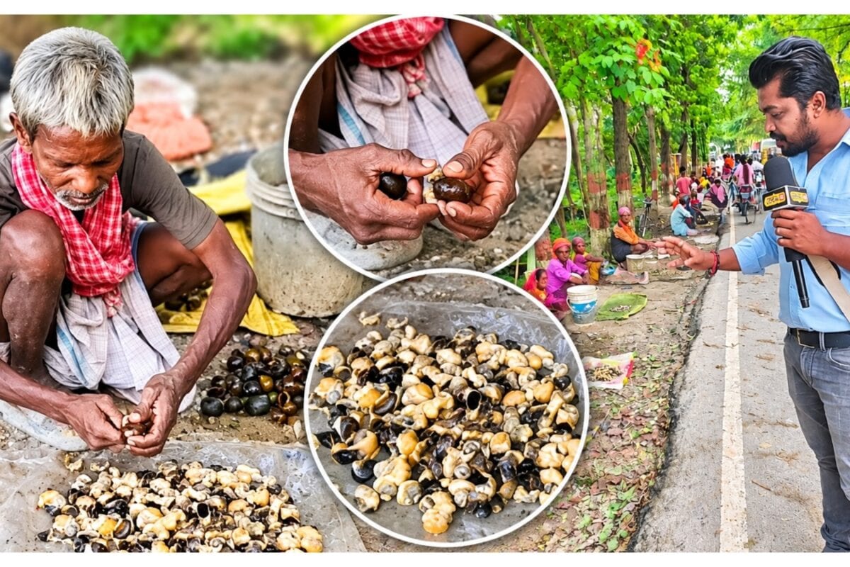 बिहार में सड़क किनारे बिकता है विदेशों का Exotic Food ₹200 किलो कीमत हर दिन 3 क्विंटल तक बिक्री