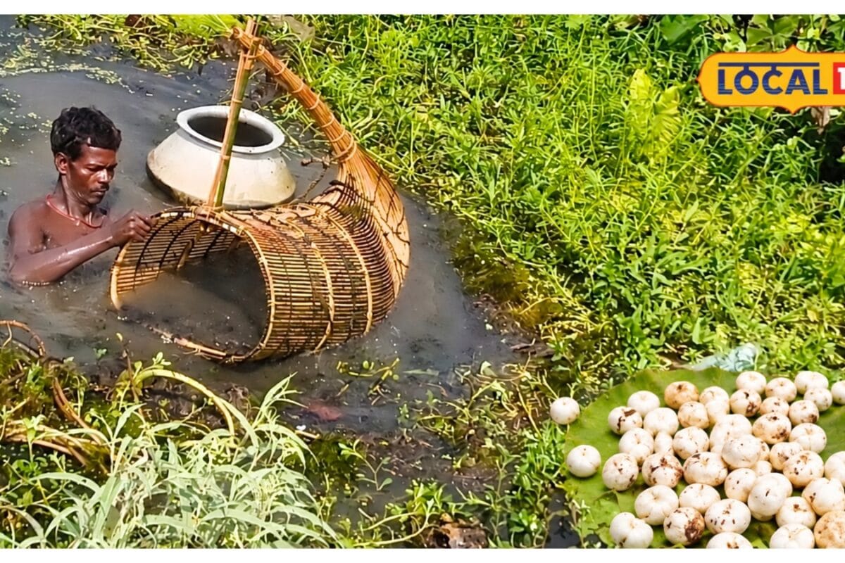 Makhana Measurement Tips: 1 मन में 40 नहीं 64 किलो मखाना की ‘गुड़िया’ का ये कैसा हिसाब जानिए पूरा गणित