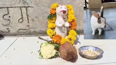 खरगोश की निधन पर 11वीं हुई. बह्मभोज हुआ.
