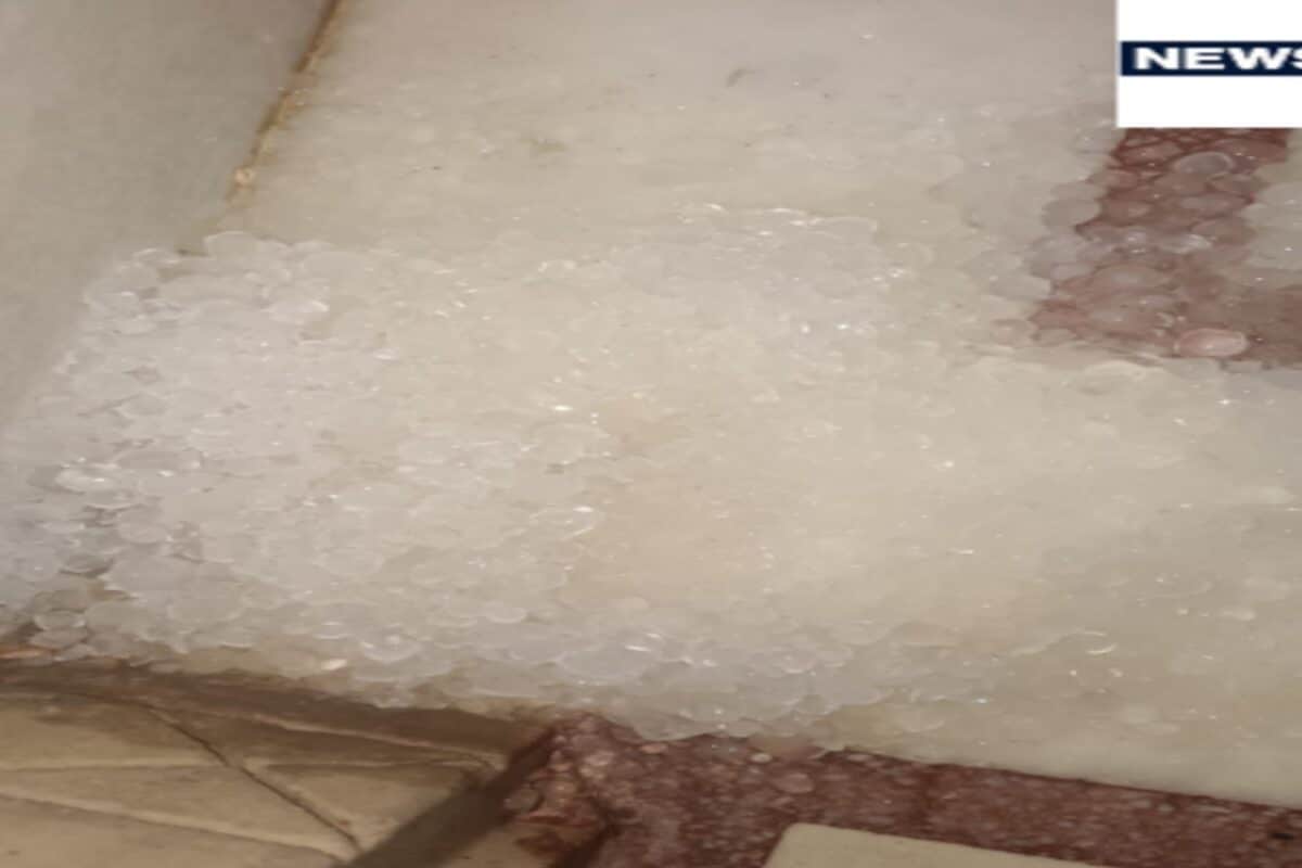 Rajasthan Weather: Hail rained from the sky wreaked havoc on the farmers, rain spoiled the crops in Bikaner-Dausa.