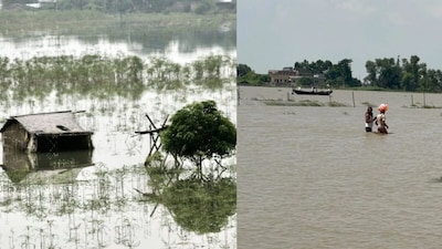 Bihar Flood Compensation: Apply from Sept 23 for Agricultural Input Grant.