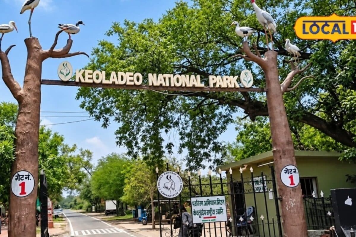 Keoladeo National Park Stands as a Global Beacon of Biodiversity
