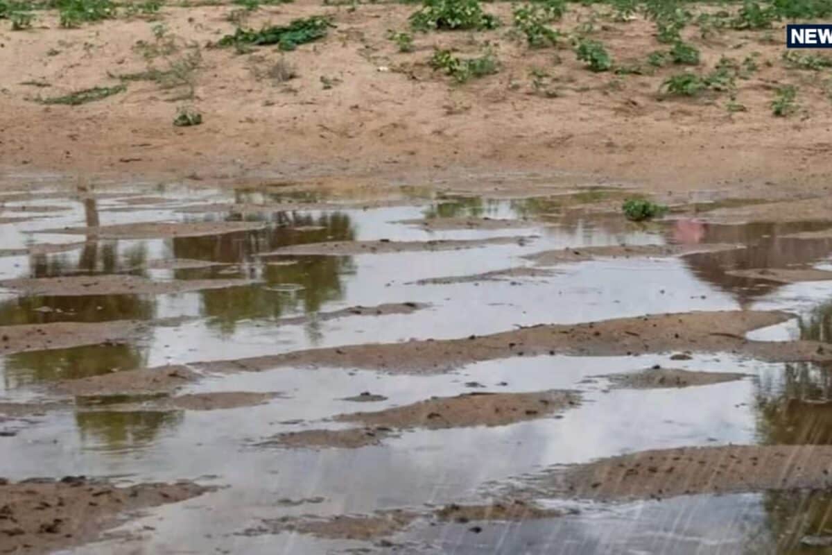 Rajasthan Monsoon Peak: 200 MM Rains Paralysis Dungarpur, IMD Issues Alerts