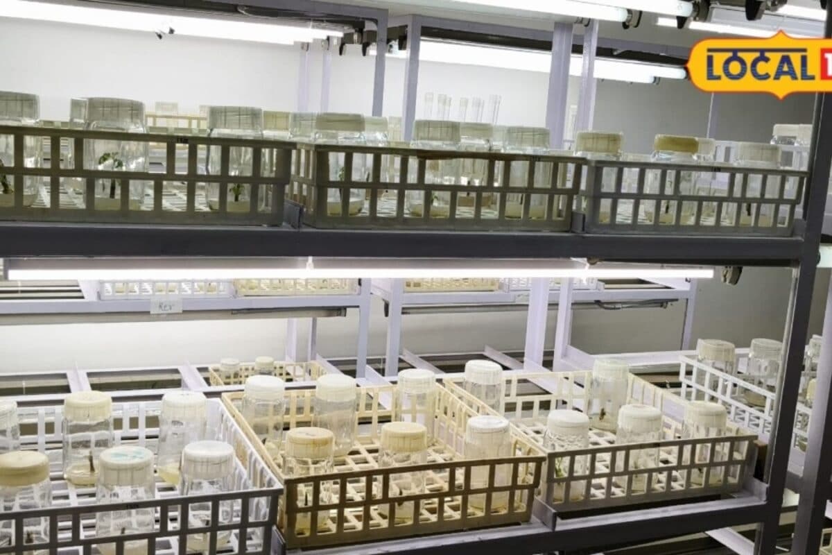 Rajasthan Agricultural University Develops Advanced Tissue Culture Technique for Desert Plants