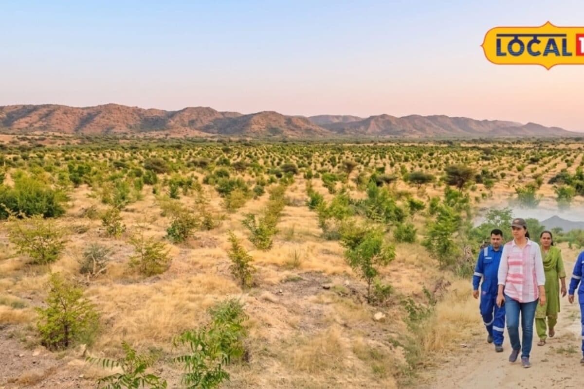 Barmer: A ‘Green Wall’ is being developed across the barren dunes of Barmer, with 350,000 saplings planted over 700 hectares. An 80 per cent survival rate has been recorded.
