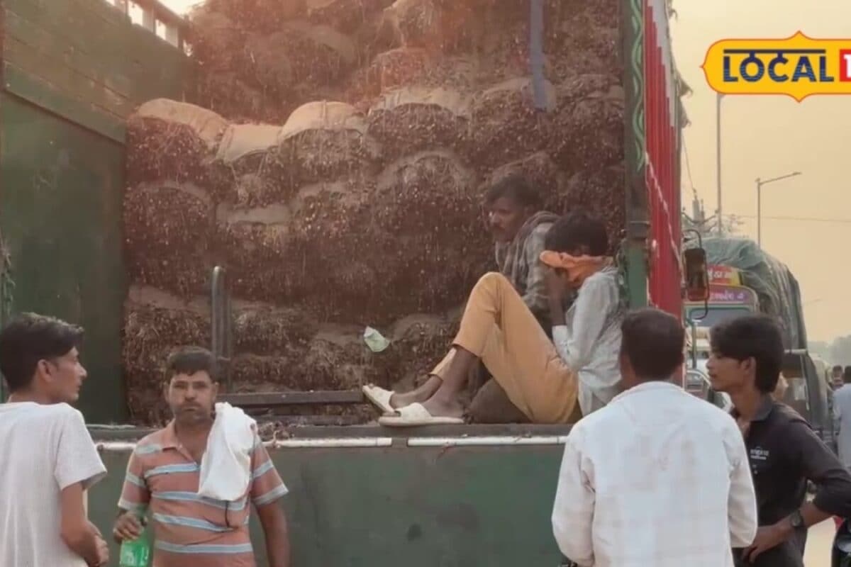 Khairthal Onion Cultivation Expansion Spurs Surge in Seed Prices