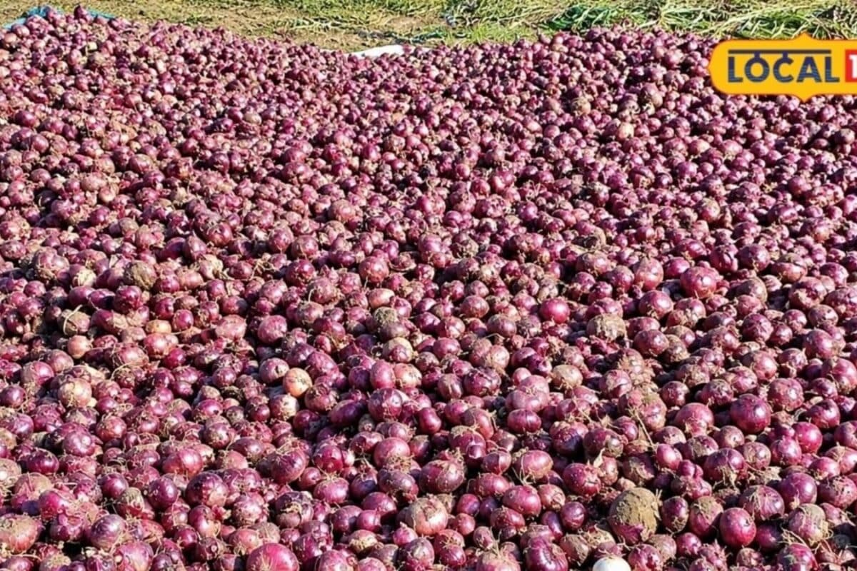 Sikar Onion Processing Unit Empowers 500 Women Farmers with Value Addition