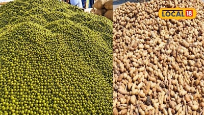 खरीफ सीजन में मूंग का समर्थन मूल्य 8,780 रुपए और मूंगफली का 7,517 रुपए प्रति क्विंटल तय किया गया है