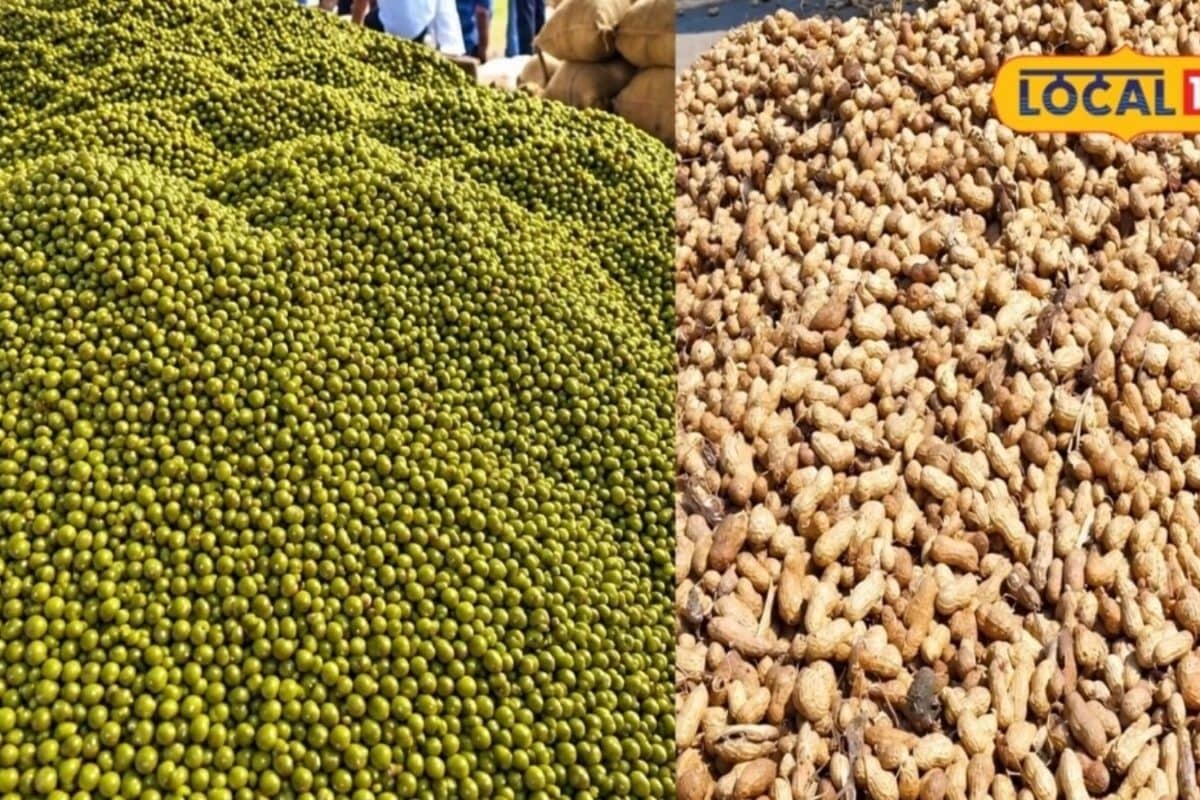 New MSP Rates Announced for Kharif Crops Amid Sikar Market Dynamics