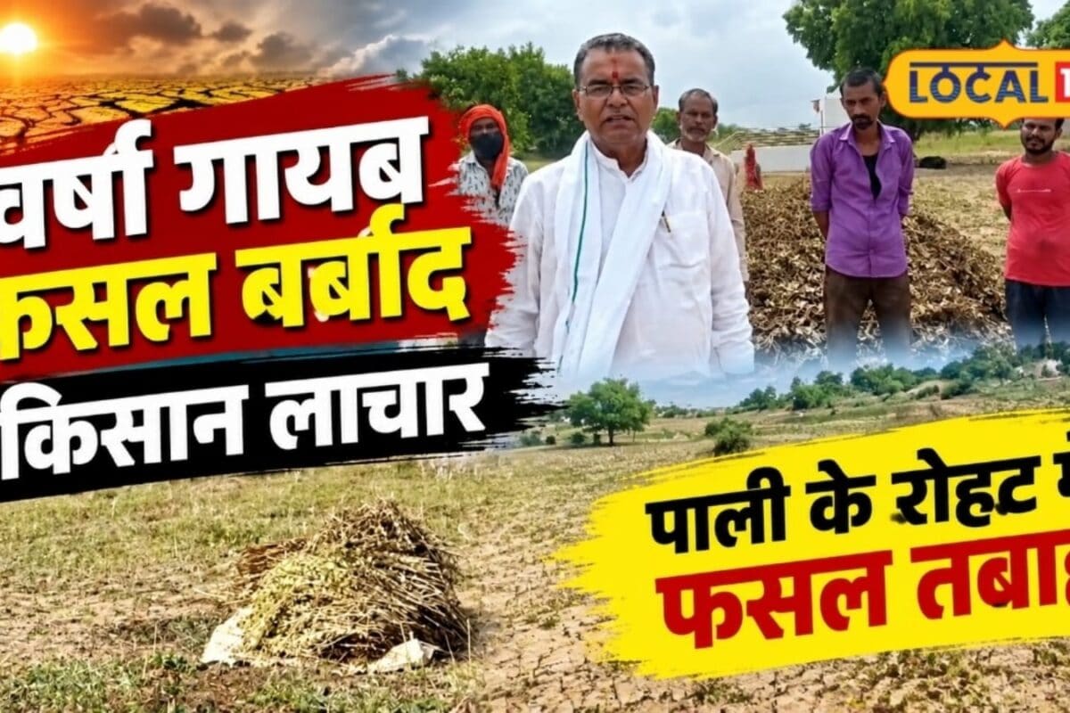 Pali Ground Report: Deficit Rainfall Destroys 90% Crops, Farmers Demand Drought Status