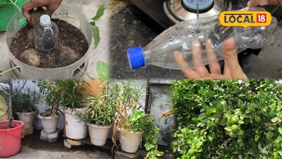 बोतल की मदद से घर पर ही आसान स्लो वाटर सप्लाई सिस्टम तैयार कर सकते हैं