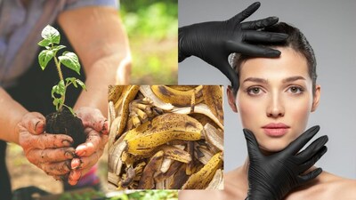 Banana Peel Benefits: From Skin Botox to Gardening, Discover Surprising Uses