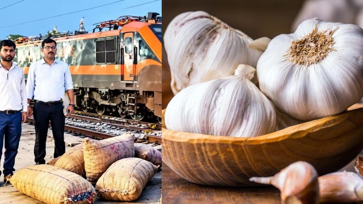 बिहार से दिल्ली आ रही ट्रेन में शौचालय के पास मिली 11 बोरी लहसुन